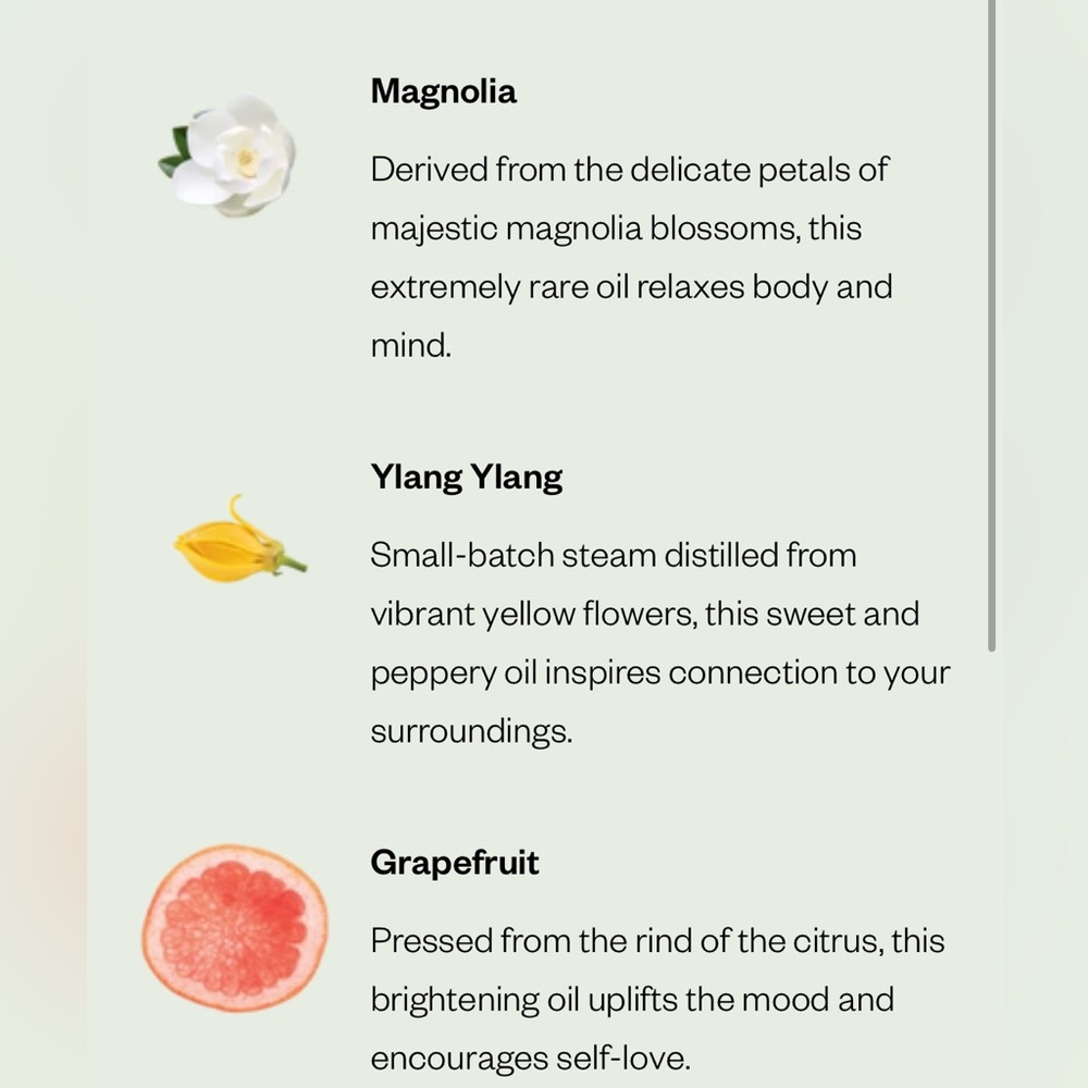 Saje Magnolia Dew Essential Oil - Picture 6 of 7